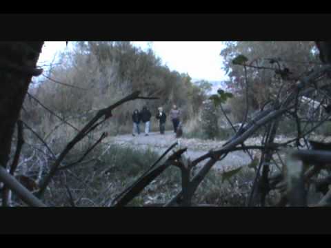 Bigfoot Attack in Utah - YouTube