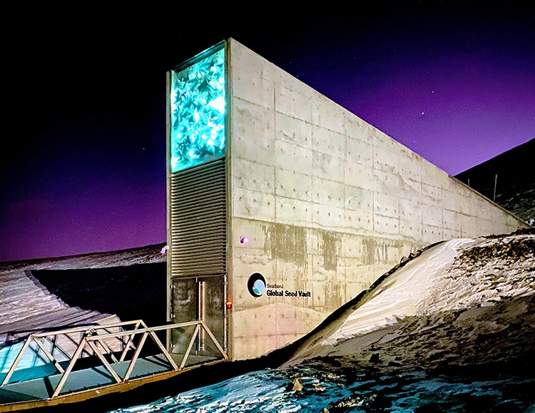 Explore the Doomsday Svalbard Global Seed Vault With Virtual Tour
