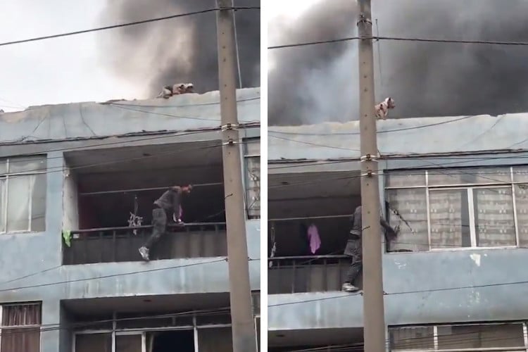 Screenshots of video showing a Colombian Man climbing a dog shelter in Peru to rescue a dog from a fire