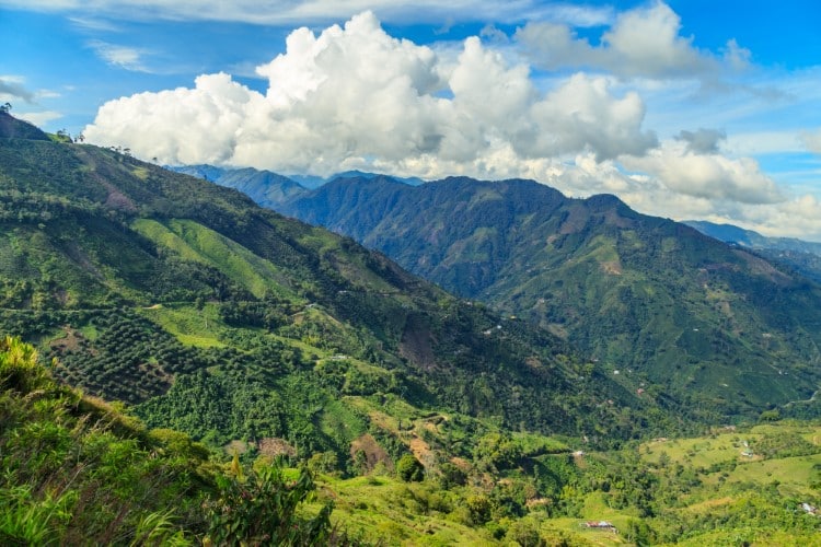 Deforestation Decreases in Colombia