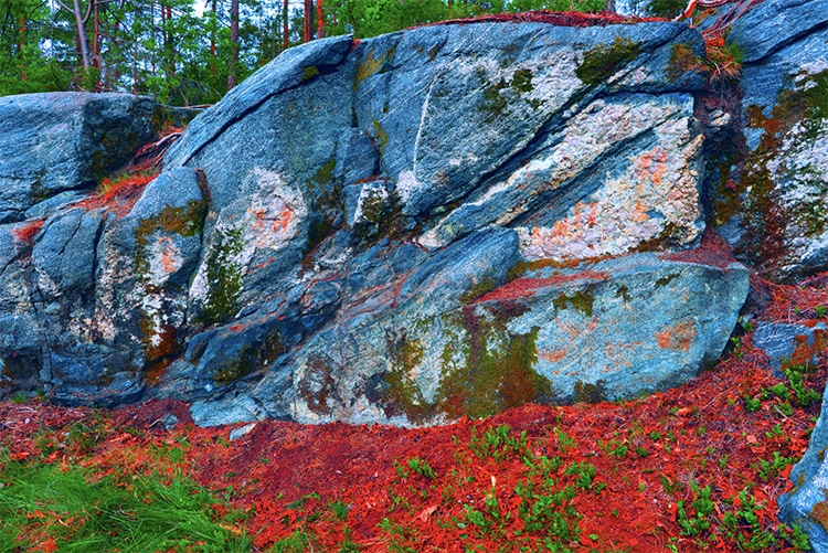 Norwegian Family Discovers Bronze Age Rock Paintings on a Hike