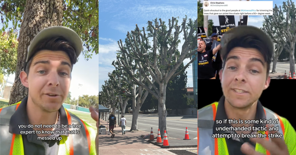 TikTokStrikingTreeShade Universal Studios Was Accused of Pruning Trees So Striking Workers Wouldnt Have Shade From the Oppressive Heat